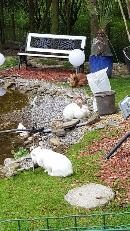 Le Gite De Zoelie Chaineux Esterno foto